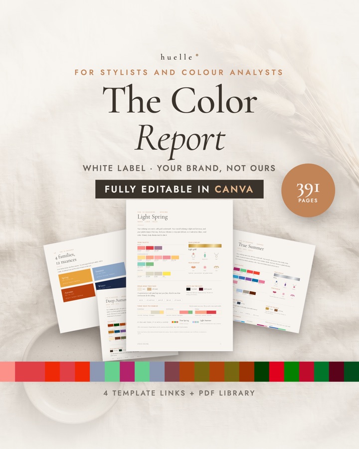 The consultant kit, editable Canva templates